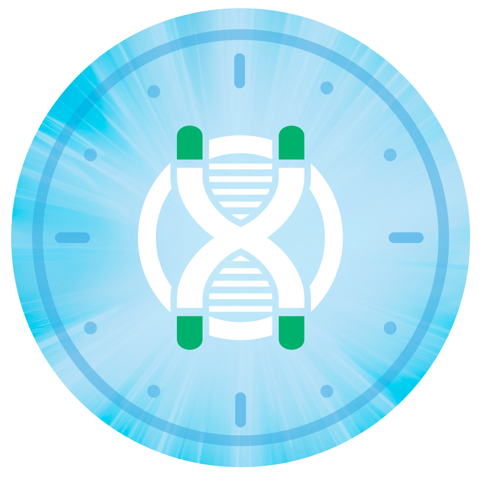 Illustration of clock face with a chromosome Illustration of clock face with a chromosome